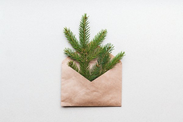 Les raisons convaincantes d'opter pour des enveloppes en plastique