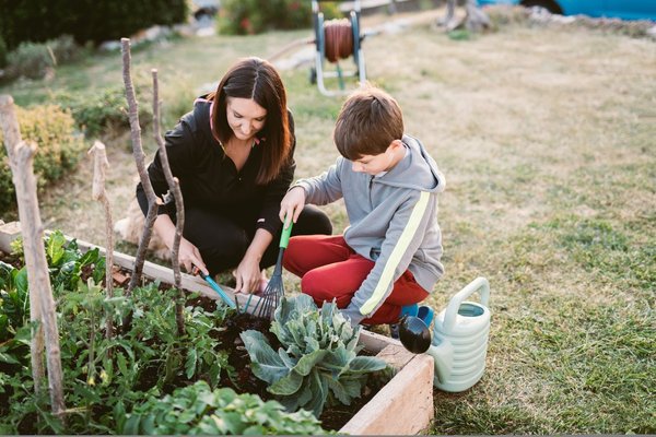 Maîtrisez votre jardinage : 10 astuces incontournables pour un jardin fleuri